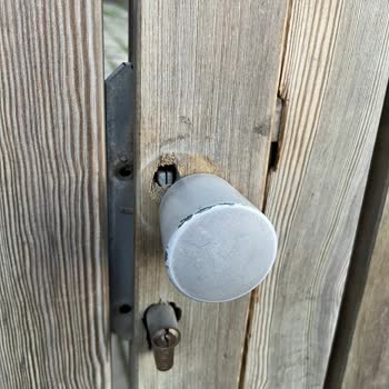 Kargo Teslimatında Kapı Zararına Yol Açan İhmal