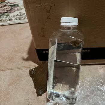 Kötü Paketleme Ve Ulaşılamayan Müşteri Hizmetleri