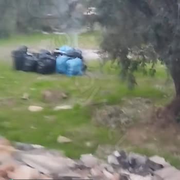 Kepez Belediyesi Çevre Ve Zeytinlik Temizliği