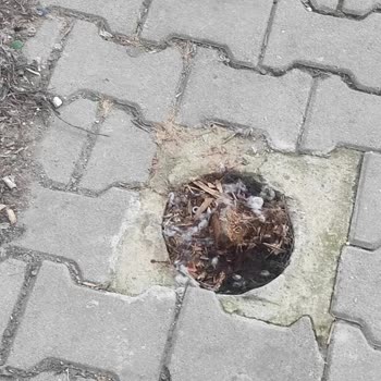 Türk Telekom Altyapı Sorunu: İnternet Kesintisi Ve İletişimsizlik