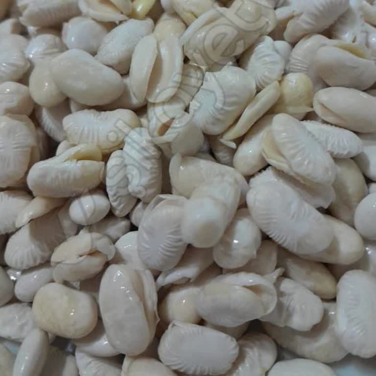 Duru Yerli Fasulye Şikayeti