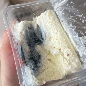 Sek Taze Kaymak 4 Günde Küflendi