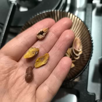 Bozuk Kuruyemişler Ve Sağlık Sorunu