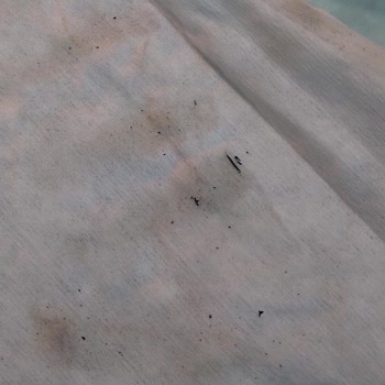 Vestel Fırında Boya Dökülmesi Ve Müşteri Hizmetleri Sorunu