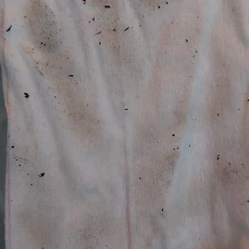 Vestel Fırında Boya Dökülmesi Ve Müşteri Hizmetleri Sorunu