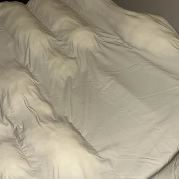 Puma Mont Kalitesizliği Ve Müşteri Memnuniyetsizliği