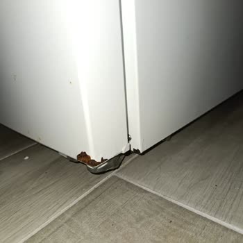 Profilo Buzdolabında Paslanma Sorunu