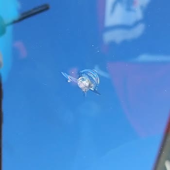 Hepiyi Sigorta Mağduriyeti: Kırık Cam Ve Red Edilen Başvuru