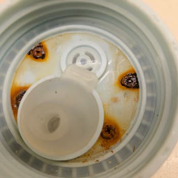 Paslanan Vidalar Nedeniyle Kullanılamayan Çocuk Suluğu