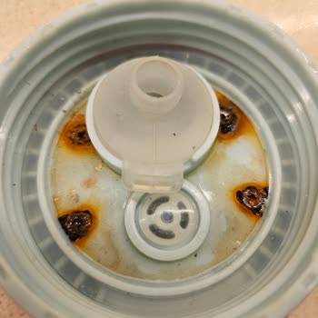 Paslanan Vidalar Nedeniyle Kullanılamayan Çocuk Suluğu