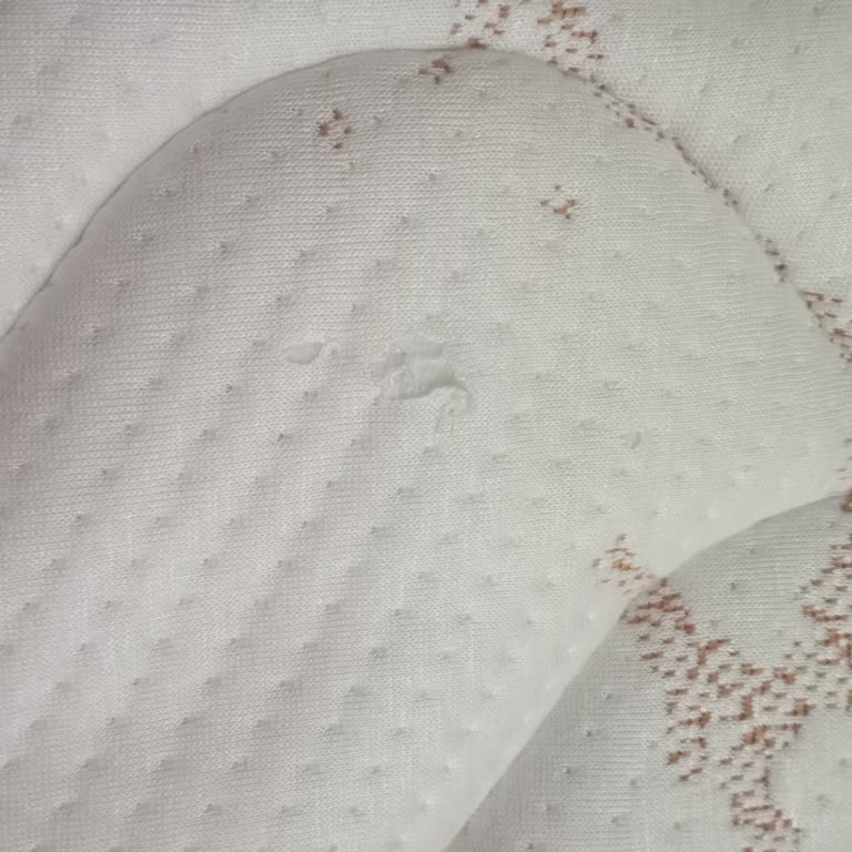 Armis Yatak: 3 Ayda Yırtılan Ped Ve Müşteri Memnuniyeti Sorunu