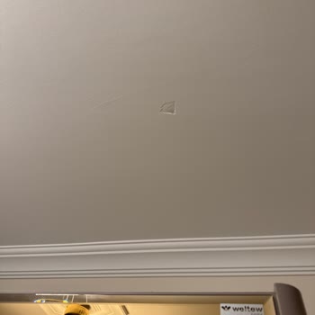 Weltew Home'den Aldığımız Ürünlerde Yaşadığımız Sorunlar