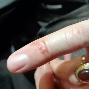 Kamil Koç Yolcu Güvenliği Ve Bagaj Sorunu