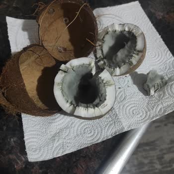 BİM'den Aldığım Hindistan Cevizi Küflü Çıktı