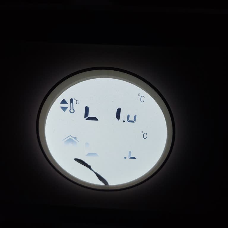 ECA Termostat LCD Ekran Yedek Parça Sorunu