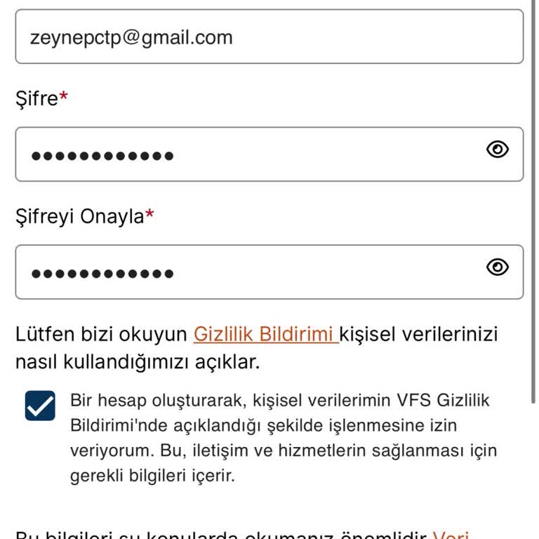 VFS'nin Sürekli Hataları Ve Çözüm Eksikliği
