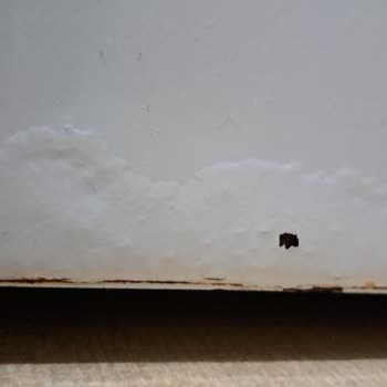 Bosch Çamaşır Makinesi Kalite Sorunu Ve Güven Kaybı