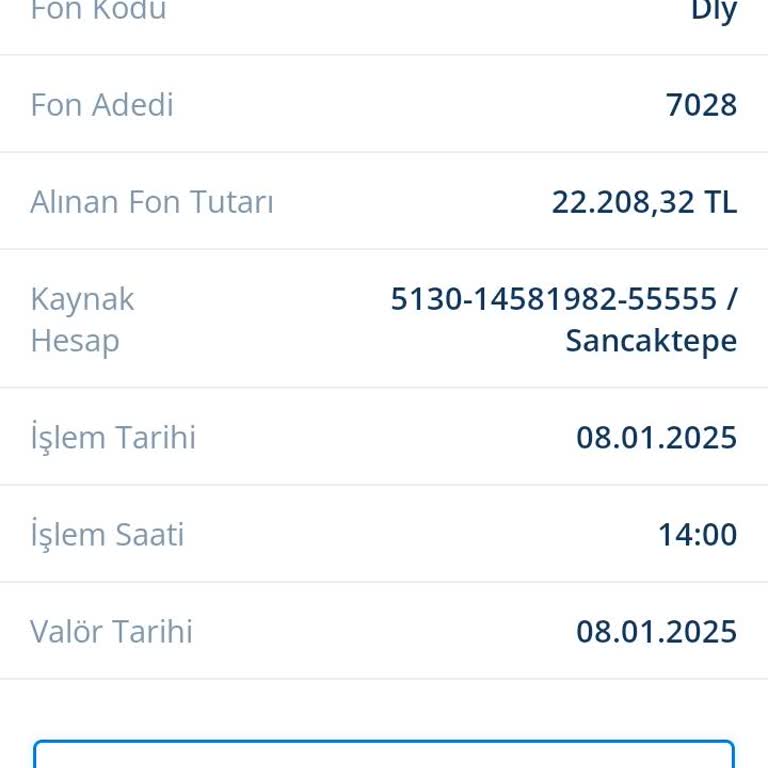 Yetkisiz Fon Alımı Ve Ulaşılmayan Para