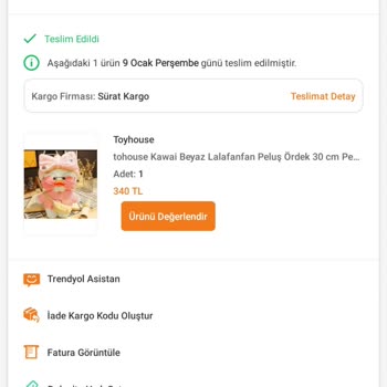 Kayıp Oyuncak: Sürat Kargo İle Teslimat Sorunu