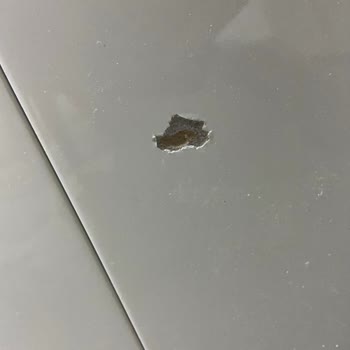 Ankara Ardıç Mobilya Sipariş Edilen Ürünlerin Nakliye Sorunları