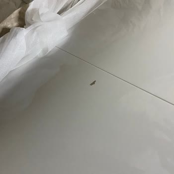 Ankara Ardıç Mobilya Sipariş Edilen Ürünlerin Nakliye Sorunları