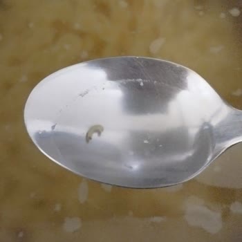 Arbella Makarna Kurtlu Fiyonk Makarna Hayal Kırıklığı