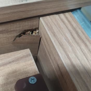 Vivense Alışverişinde Teslimat Ve Ürün Kalitesi Sorunları