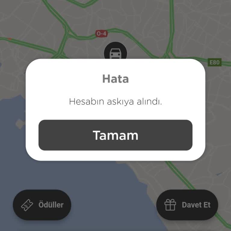 Martı Hesabım Haksız Yere Askıya Alındı!