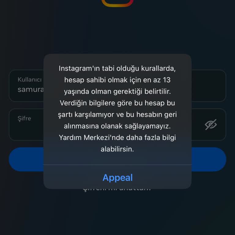 Hesap Giriş Sorunu: Yaş Kısıtlaması Hatası