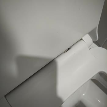 Seramiksan Silva Klozet Kapağı: Sürekli Kırılma Sorunu