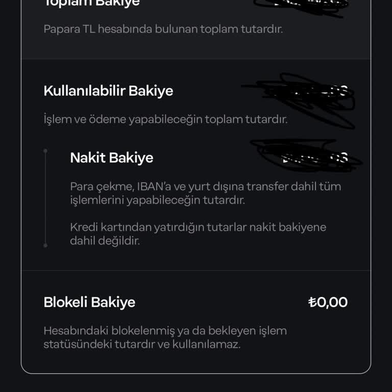 Papara Hesabımda Kayıp Para Sorunu