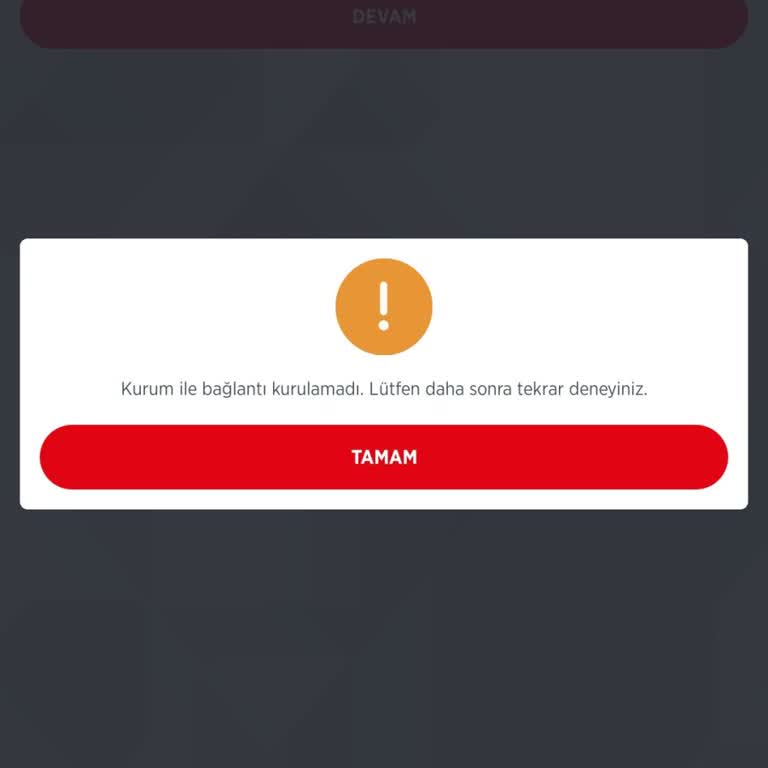 Ziraat Mobil'de Elektrik Faturası Ödeme Sorunu