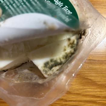 Baltalı Keçi Kaşarında Küf Sorunu Ve Hayal Kırıklığı