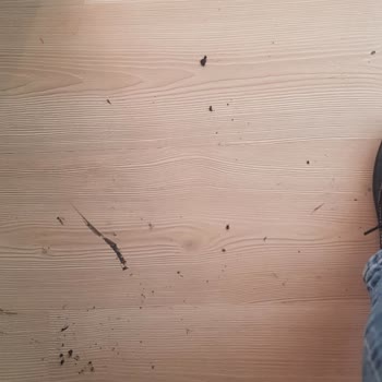 Scooter Botlarımın Kalite Sorunu