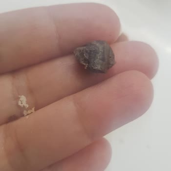 Taşlı Ay Çöreği Ve İlgisiz Müşteri Hizmetleri