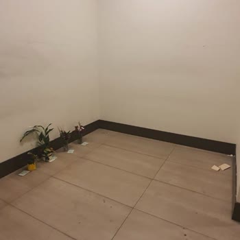 Çiçek Sepeti Şikayeti