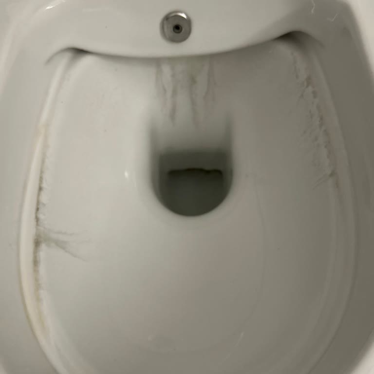 Vitra Klozetin Lekelenme Sorunu