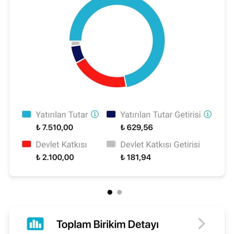 BES İptalinde Paramı Geri Alamıyorum