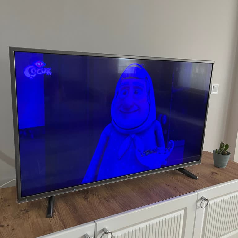 Beko TV'lerde Kronik Mavi Ekran Sorunu