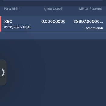 Bitexen Hesap İşletim Ücreti Şoku: Bakiyem Sıfırlandı!