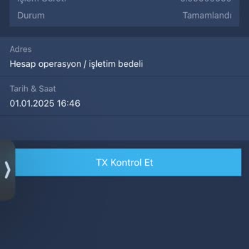 Bitexen Hesap İşletim Ücreti Şoku: Bakiyem Sıfırlandı!