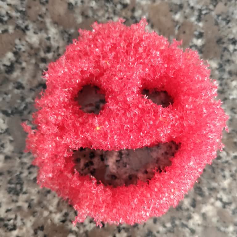 Kalitesiz Ve Pahalı Sünger: Beklentileri Karşılamıyor