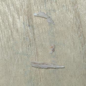 Gurmepack'te Plastik Kıymık Şoku: Güven Kırıcı Deneyim