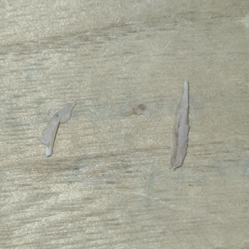 Gurmepack'te Plastik Kıymık Şoku: Güven Kırıcı Deneyim