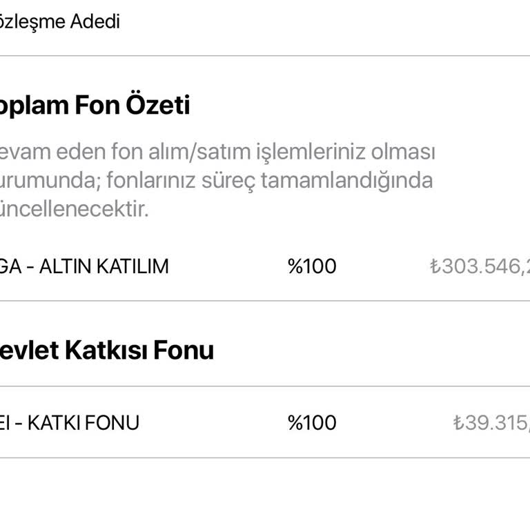 Türkiye Hayat Emeklilik Bireysel Emeklilik Sisteminde Fon Kaybı Ve Yetersiz Müşteri Hizmetleri