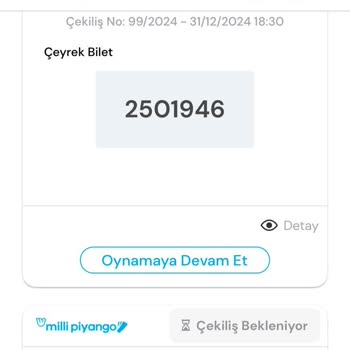 Milli Piyango Uygulamasında Çeyrek Bilet Sorunu