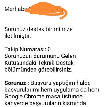 Kariyer.net Platformunda Teknik Sorunlar Ve Destek Eksikliği