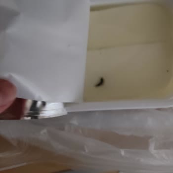 BİM Marketlerinden Aldığım Peynirde Sağlık Tehlikesi!