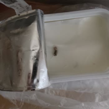 BİM Marketlerinden Aldığım Peynirde Sağlık Tehlikesi!