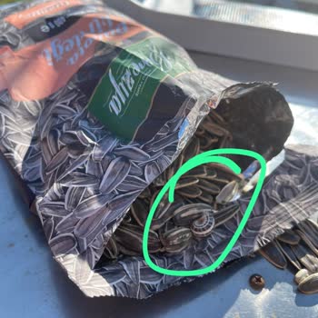 Çekirdek Paketinden Çıkan Salyangoz Şoku!